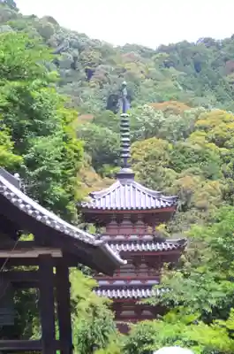 三室戸寺(京都府)