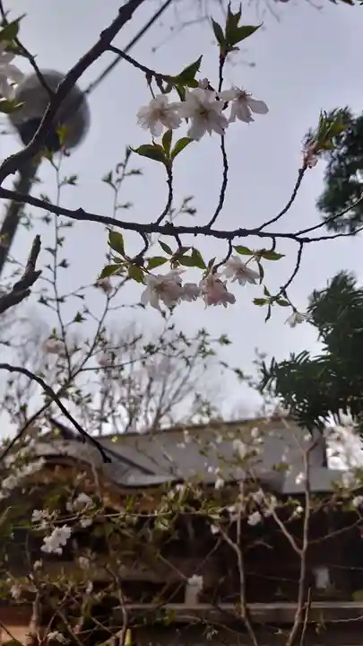 相馬神社(北海道)