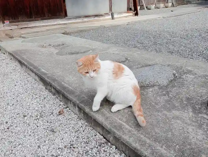 山梨縣護國神社(山梨県)