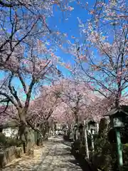 密藏院(埼玉県)