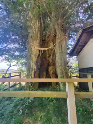 龍泉寺（稲岡観音堂）(栃木県)