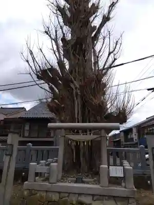 川巴良諏訪神社(富山県)