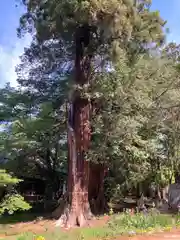 珊瑚寺(群馬県)