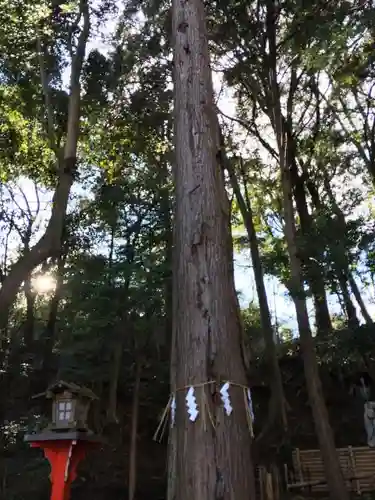 御髪神社の自然