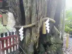 貴船神社結社の自然