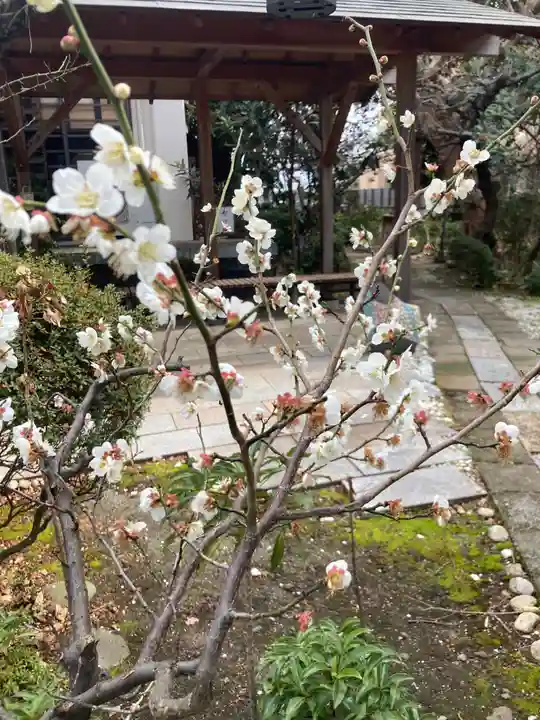 教善寺(神奈川県)