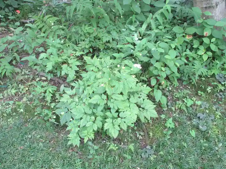 青龍山 吉祥寺(群馬県)