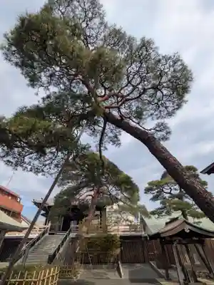 光明院(東京都)