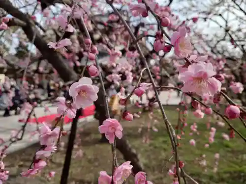 北野天満宮(京都府)