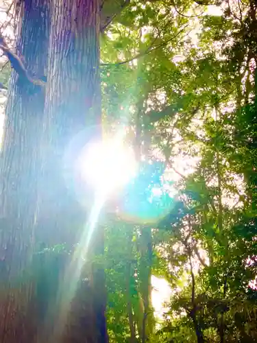 香取神宮奥宮(千葉県)