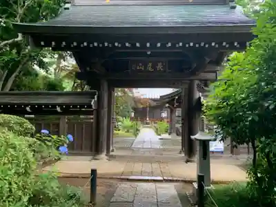 妙楽寺の山門・神門