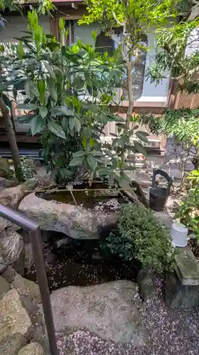 星光院の{uncategorized: "未分類", other: "その他", undefined: "問題あり", building: "その他建物", grave: "お墓", sacred_gate: "鳥居", guardian: "狛犬", statue: "像", buddha: "仏像", history: "歴史", nature: "自然", garden: "庭園", animal: "動物", pagoda: "塔", temizu: "手水舎", mountain_gate: "山門・神門", sanctuary: "本殿・本堂", subordinate: "末社・摂社", art: "芸術", scenery: "景色", jizo: "地蔵", ema: "絵馬", goshuin: "御朱印", omikuji: "おみくじ", items: "授与品その他", amulet: "お守り", goshuincho: "御朱印帳", eats: "食事", festival: "お祭り", votive_dance: "神楽", shichigosan: "七五三参", wedding: "結婚式", experience: "体験その他", initially: "初詣", around: "周辺", anti_infection: "感染症対策"}