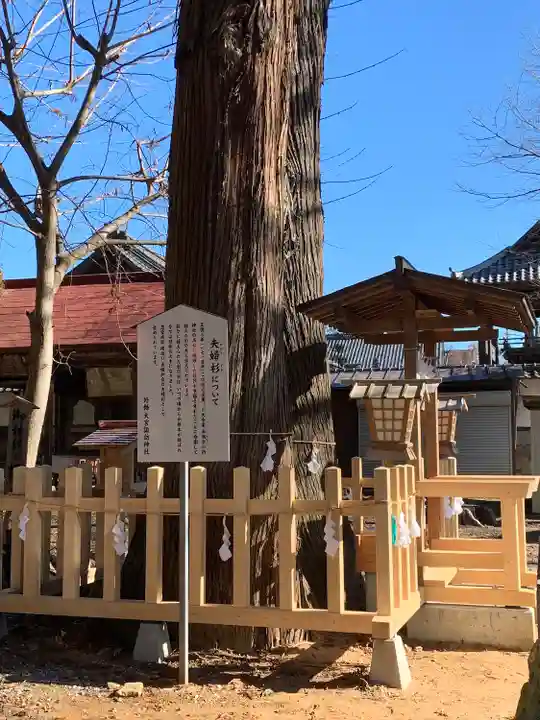 大宮諏訪神社の自然