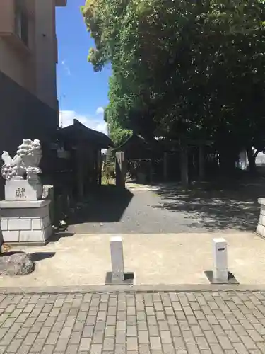 諏訪大神社 の狛犬