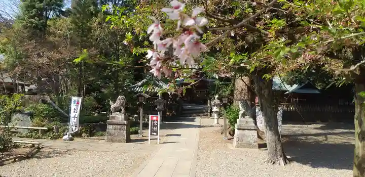 岩槻久伊豆神社のその他建物