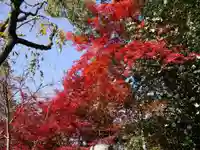 長岡天満宮の自然