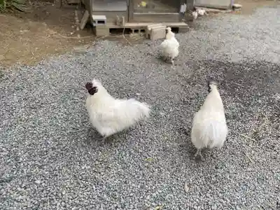 高屋敷稲荷神社(福島県)