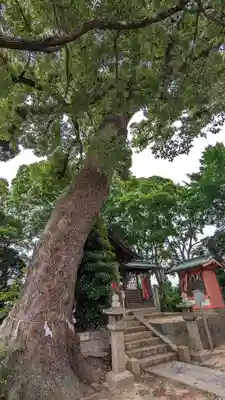 常磐神社(京都府)