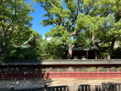 根津神社(東京都)