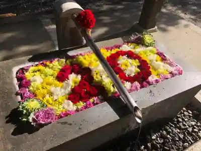 美濃國一宮　南宮大社の手水舎