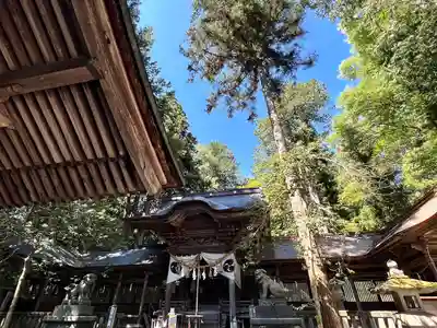 矢彦神社(長野県)