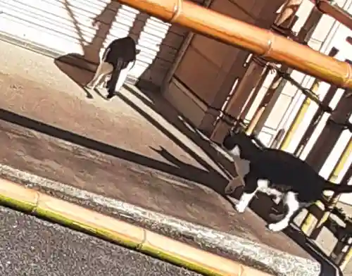 白金氷川神社(東京都)