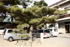 岩屋神社の建物その他