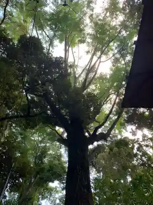 日吉神社(千葉県)