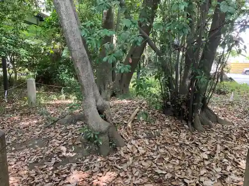 西宮神社(兵庫県)