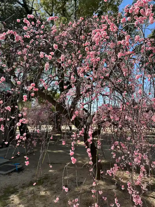屯倉神社(大阪府)