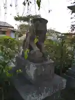 竹生島神社の狛犬