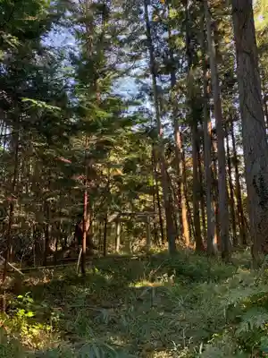 山王大権現の周辺