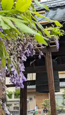 勝龍寺(京都府)