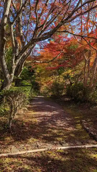 神藏寺(京都府)