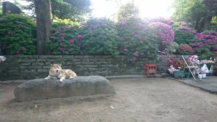 根津神社(東京都)