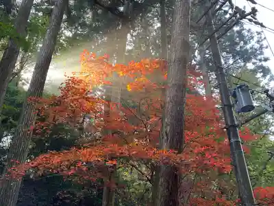 比叡山延暦寺(滋賀県)