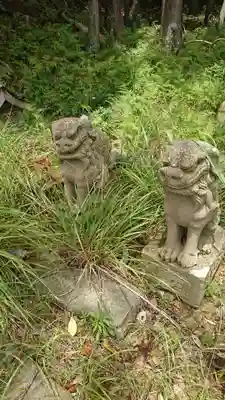五十鈴神社の狛犬