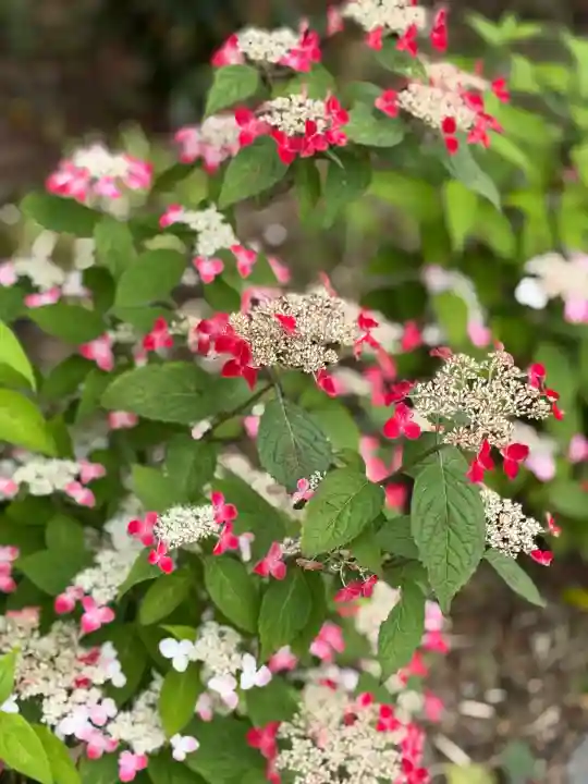 川越八幡宮(埼玉県)
