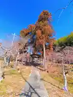 北野社(北野天満宮)のその他建物