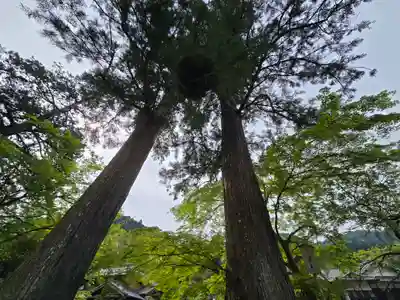室生寺(奈良県)