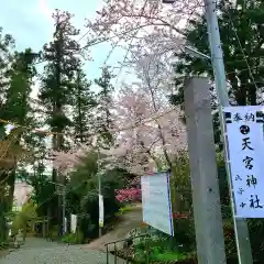 天宮神社の建物その他