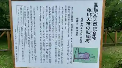 菅原神社の{uncategorized: "未分類", other: "その他", undefined: "問題あり", building: "その他建物", grave: "お墓", sacred_gate: "鳥居", guardian: "狛犬", statue: "像", buddha: "仏像", history: "歴史", nature: "自然", garden: "庭園", animal: "動物", pagoda: "塔", temizu: "手水舎", mountain_gate: "山門・神門", sanctuary: "本殿・本堂", subordinate: "末社・摂社", art: "芸術", scenery: "景色", jizo: "地蔵", ema: "絵馬", goshuin: "御朱印", omikuji: "おみくじ", items: "授与品その他", amulet: "お守り", goshuincho: "御朱印帳", eats: "食事", festival: "お祭り", votive_dance: "神楽", shichigosan: "七五三参", wedding: "結婚式", experience: "体験その他", initially: "初詣", around: "周辺", anti_infection: "感染症対策"}