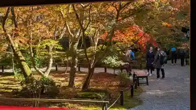 圓光寺(京都府)