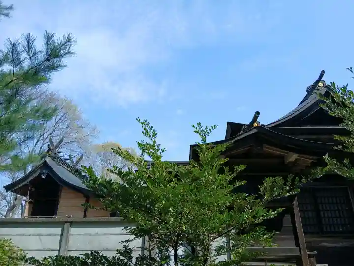 亀岡八幡宮の{uncategorized: "未分類", other: "その他", undefined: "問題あり", building: "その他建物", grave: "お墓", sacred_gate: "鳥居", guardian: "狛犬", statue: "像", buddha: "仏像", history: "歴史", nature: "自然", garden: "庭園", animal: "動物", pagoda: "塔", temizu: "手水舎", mountain_gate: "山門・神門", sanctuary: "本殿・本堂", subordinate: "末社・摂社", art: "芸術", scenery: "景色", jizo: "地蔵", ema: "絵馬", goshuin: "御朱印", omikuji: "おみくじ", items: "授与品その他", amulet: "お守り", goshuincho: "御朱印帳", eats: "食事", festival: "お祭り", votive_dance: "神楽", shichigosan: "七五三参", wedding: "結婚式", experience: "体験その他", initially: "初詣", around: "周辺", anti_infection: "感染症対策"}