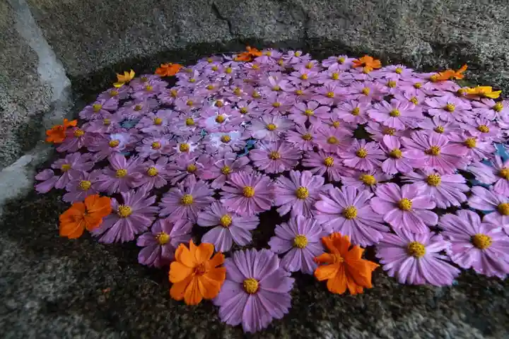 田村神社の手水舎