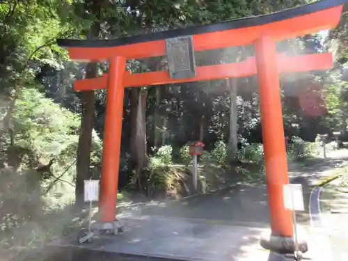 霊山寺の鳥居