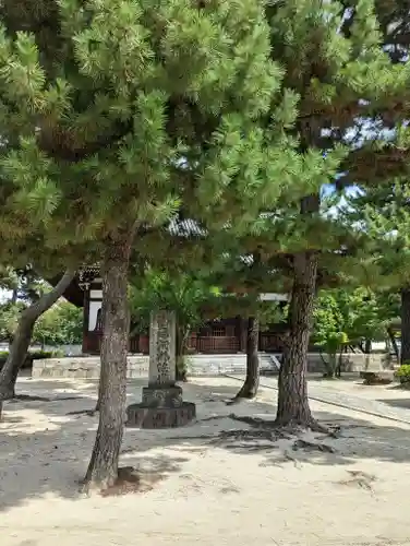 百萬遍知恩寺(京都府)