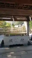 師岡熊野神社の手水