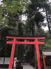 箱根神社の鳥居