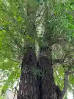 堤治神社(愛知県)